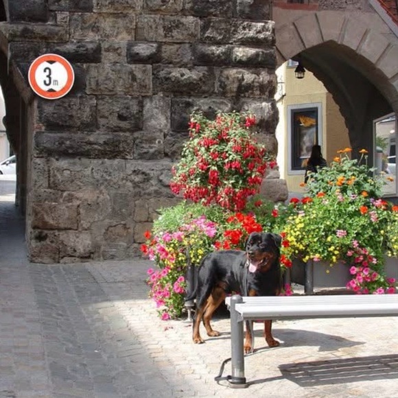 Meet your Posher, Michelle - Picture 5 of 8